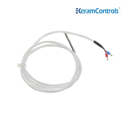 PTFE PT100 PT1000 জলরোধী তাপমাত্রা সেন্সর 2 তারের